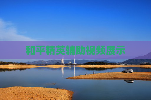 和平精英辅助视频展示
